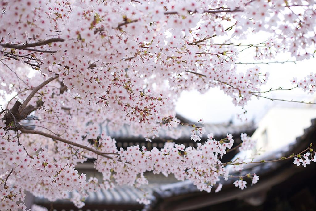 Rin Kyoto Kinkaku-Ji Templeヴィラ エクステリア 写真